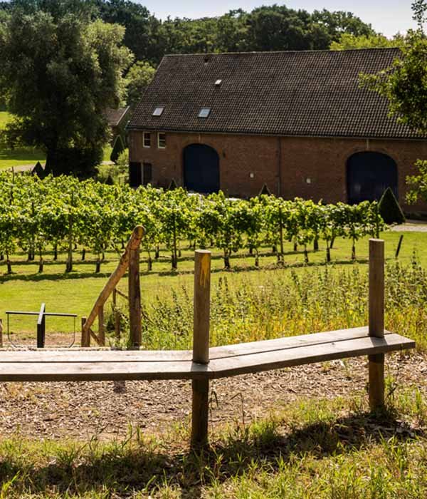 Winery event venue in the Netherlands