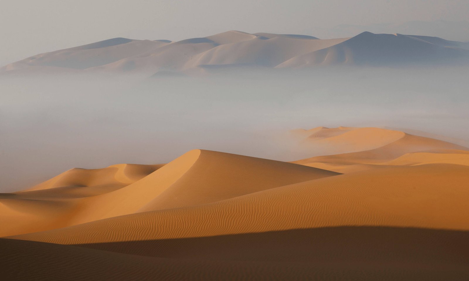 UAE Desert Landscape