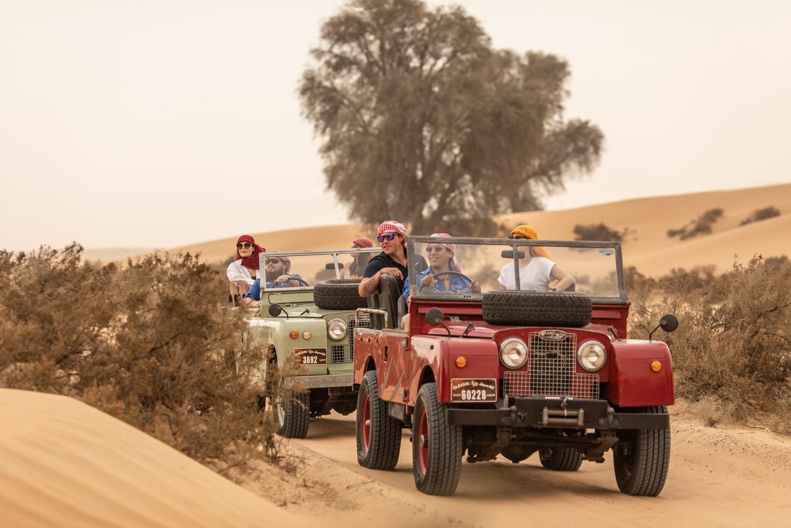 Tourists riding vintage jeeps through desert dunes.