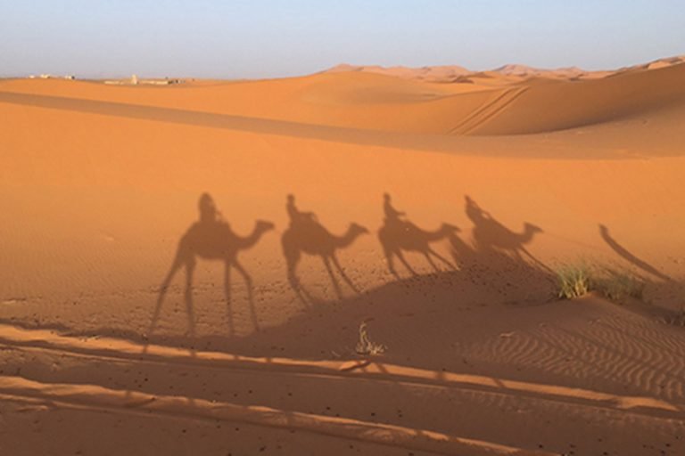 Incentive travel desert