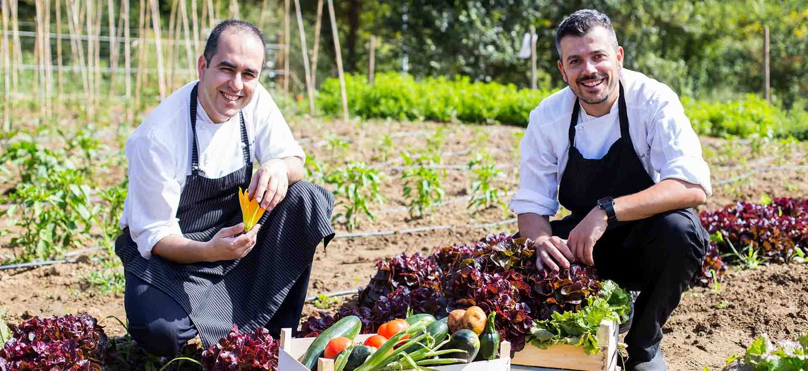 Mas Salagros From Farm To Table Sustainability
