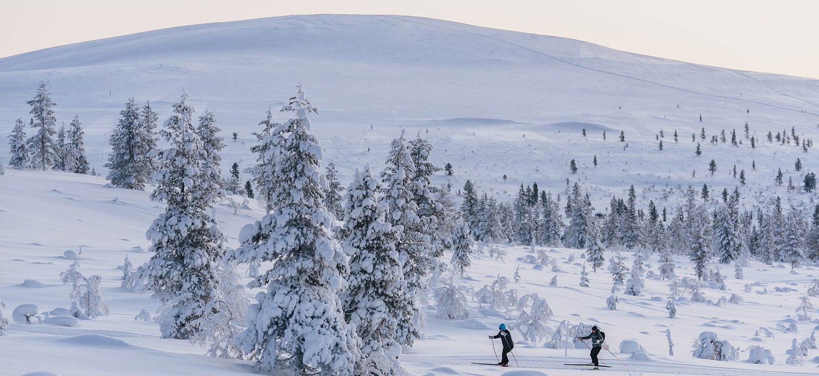 Team-Activities-Mountains-Snwoeshoeing