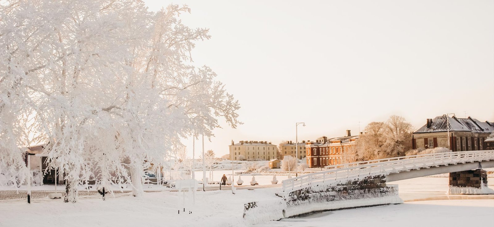 Corporate-Event-Destination-Snowy-Mountains