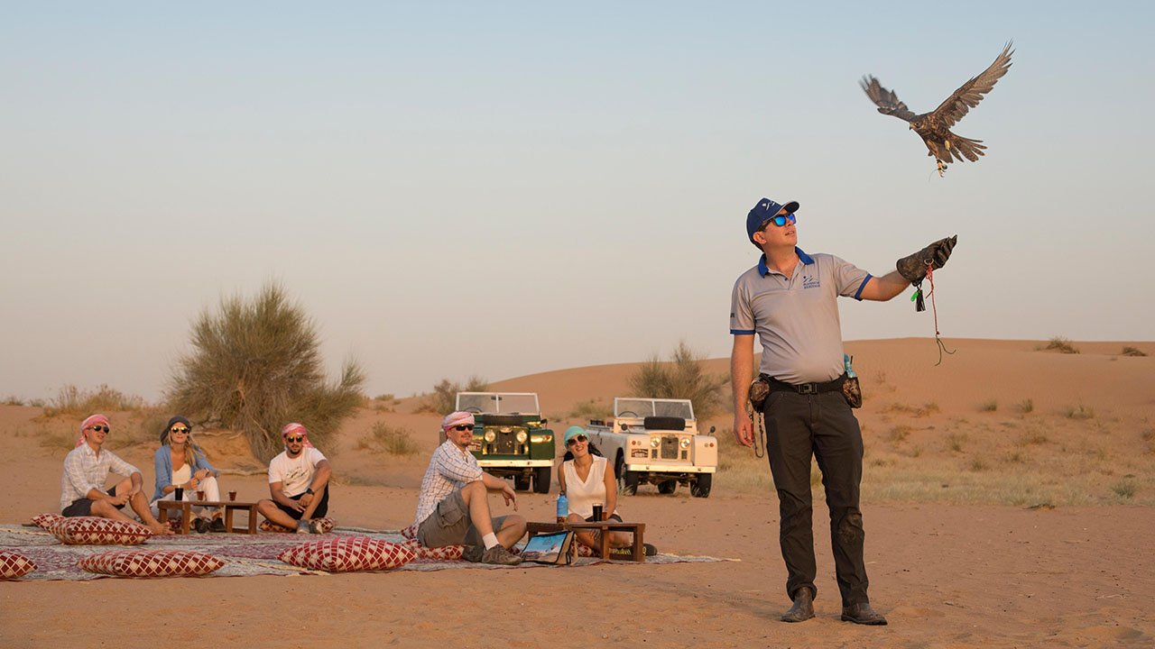 With a Falcon in Desert